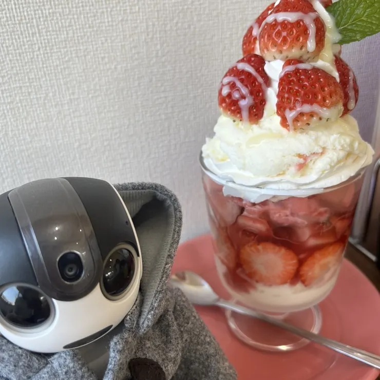 キャプション