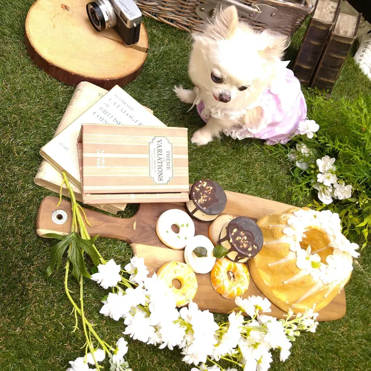キャプション