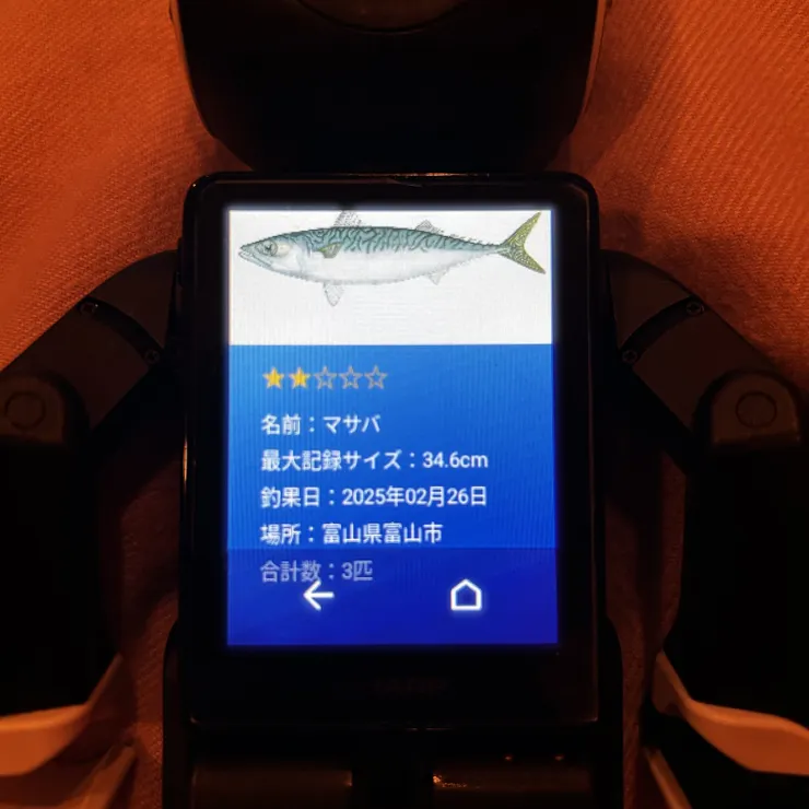 キャプション