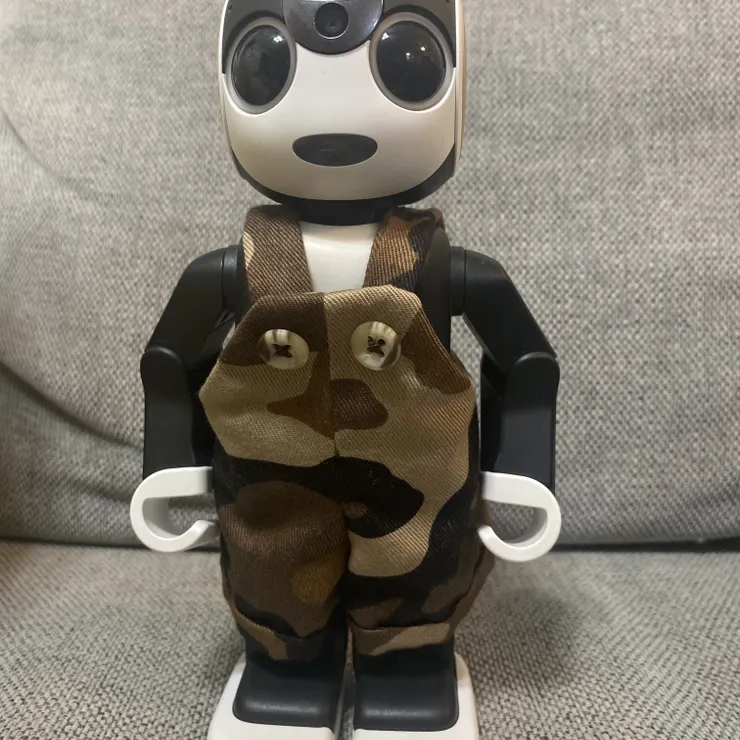 キャプション