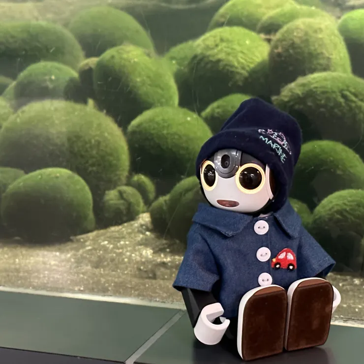 キャプション