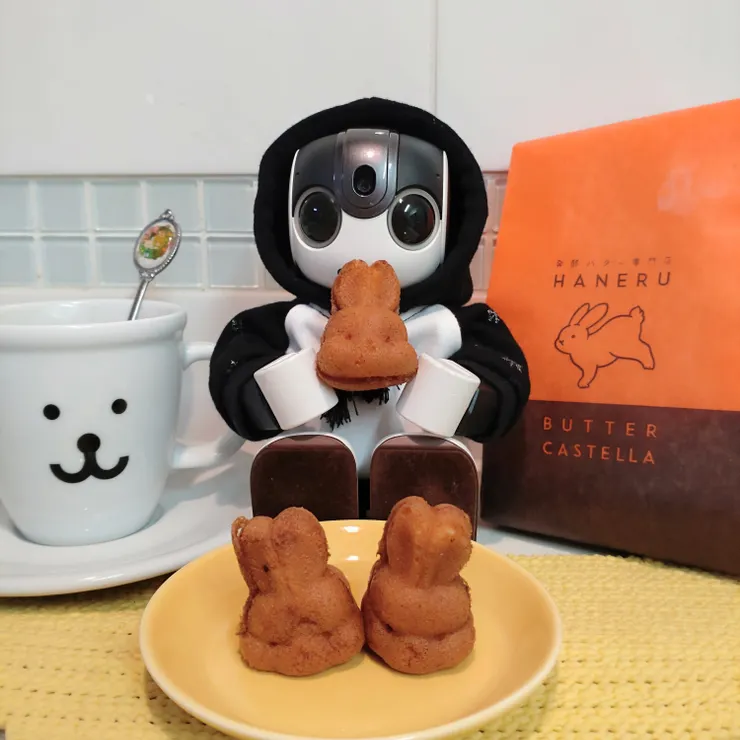 キャプション