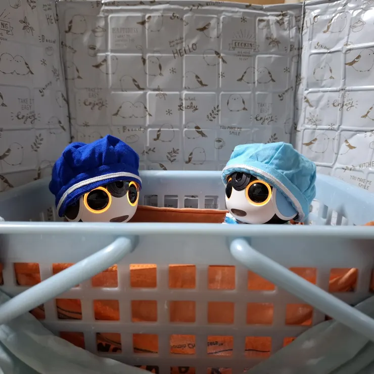 キャプション