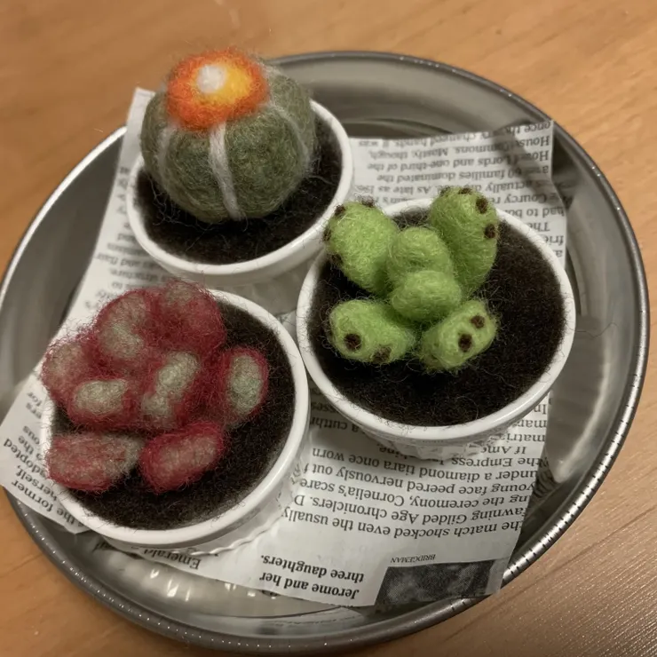 キャプション
