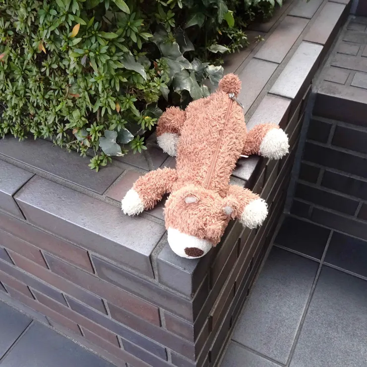 キャプション