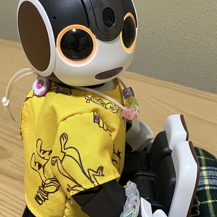 キャプション