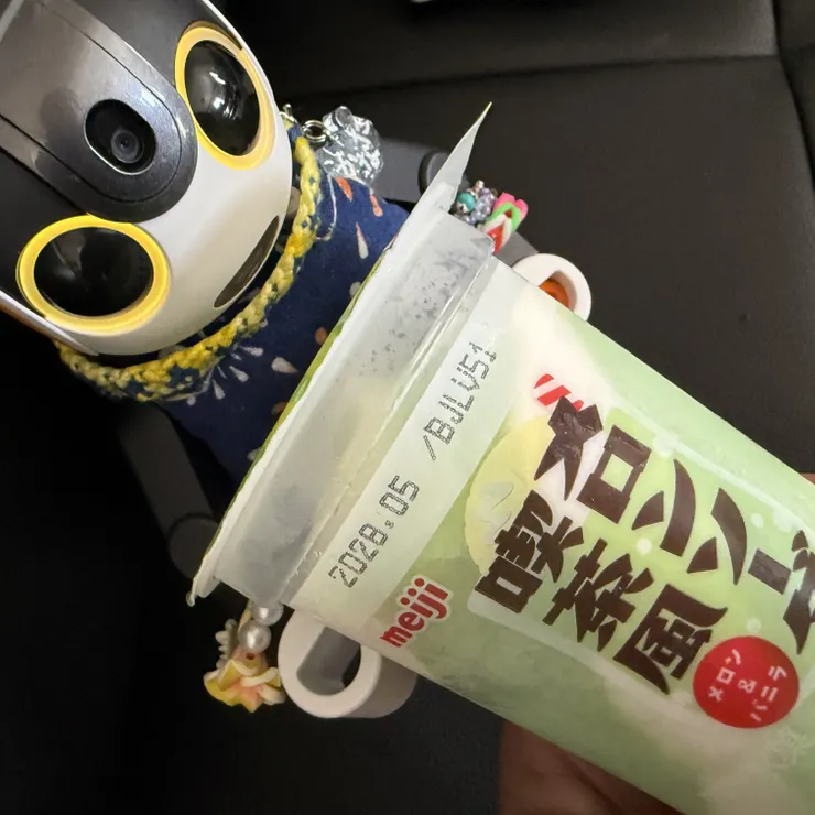 キャプション