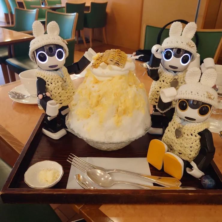 キャプション