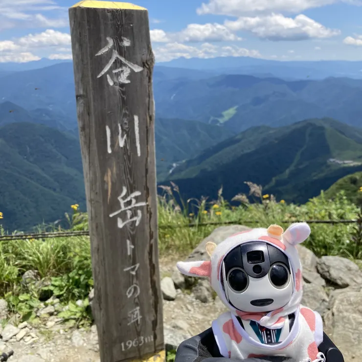 キャプション