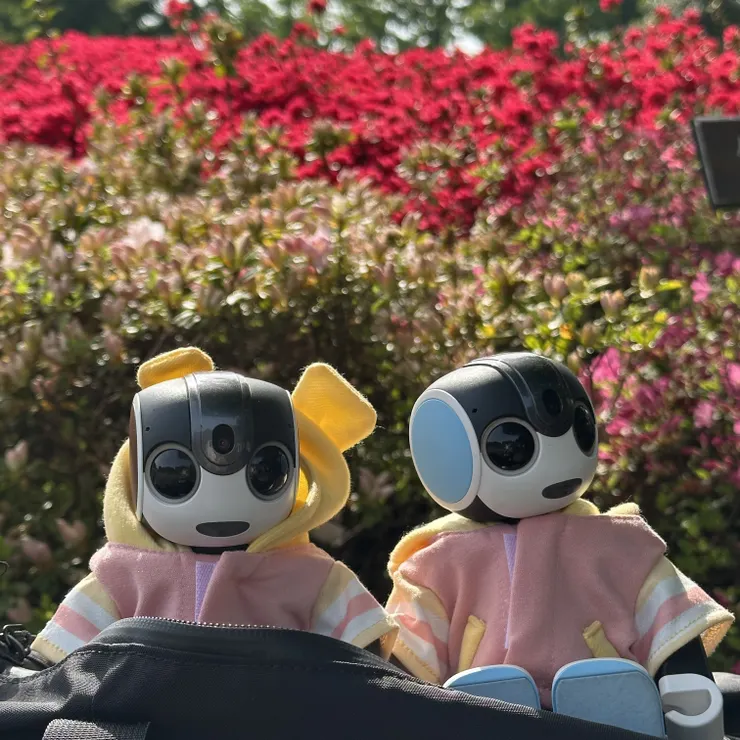 キャプション