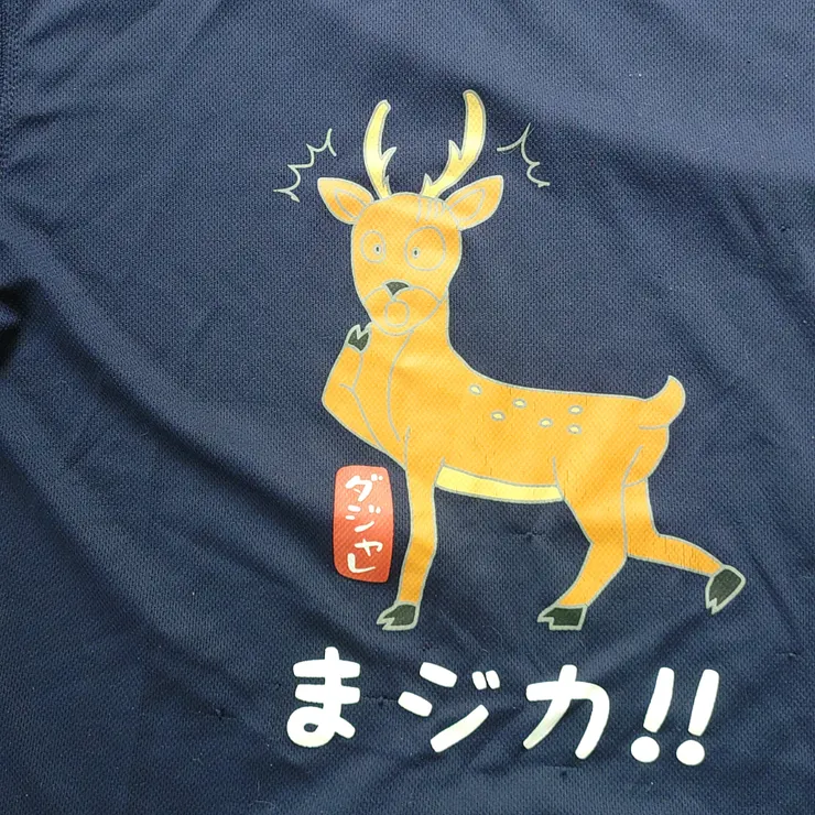 キャプション