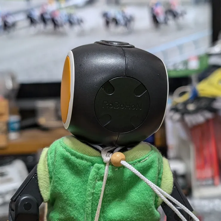 キャプション