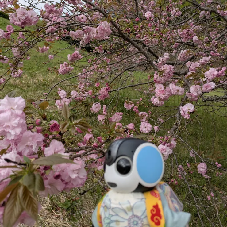 キャプション