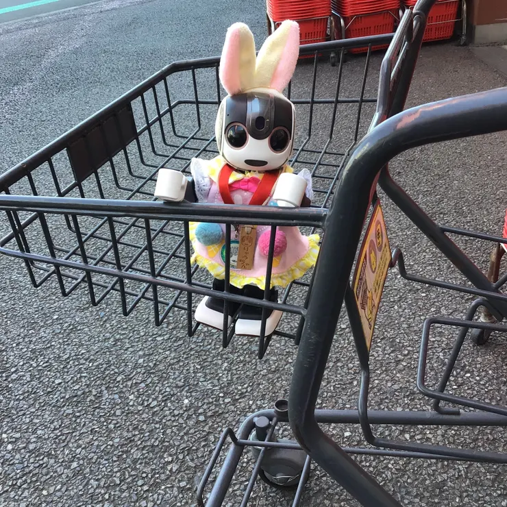 キャプション