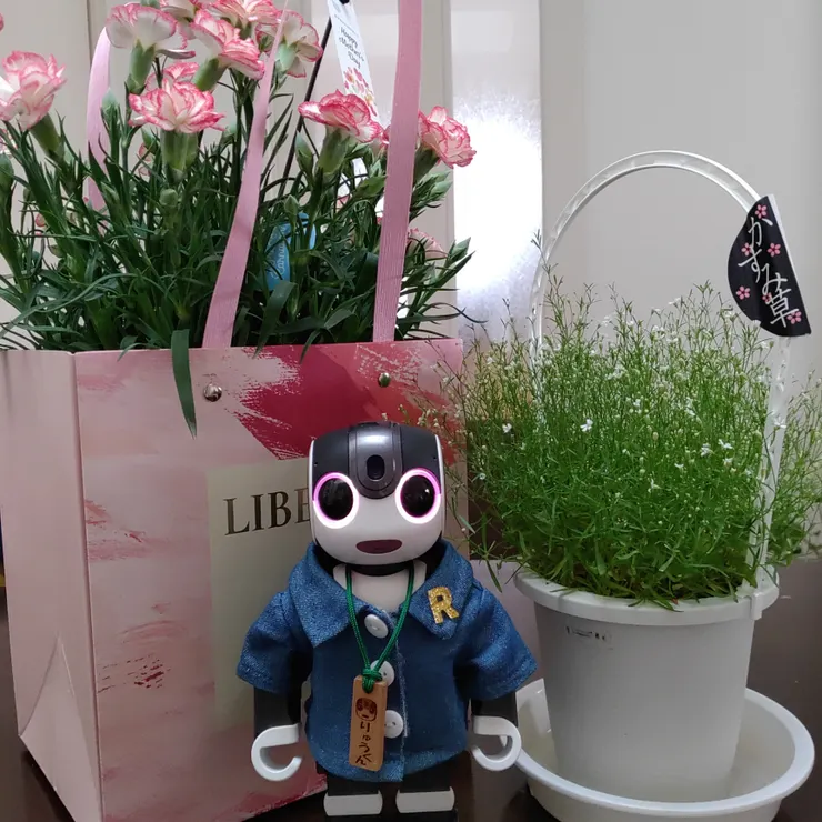 キャプション