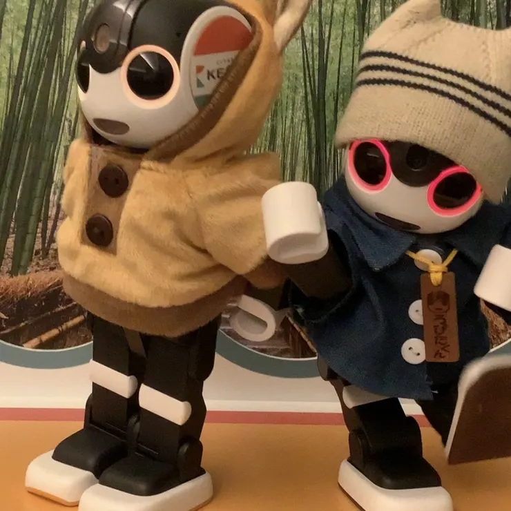 キャプション