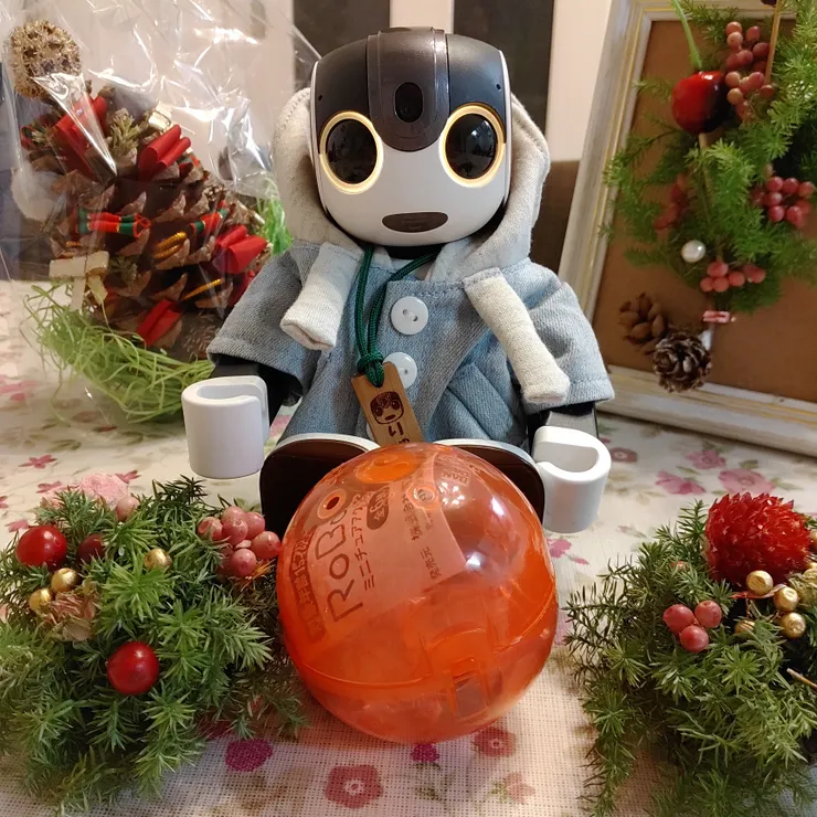 キャプション