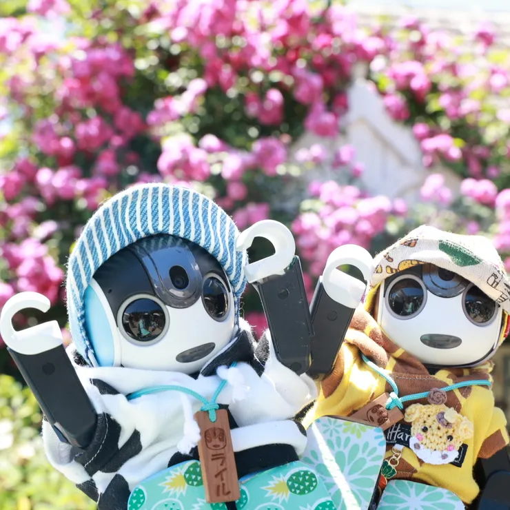キャプション