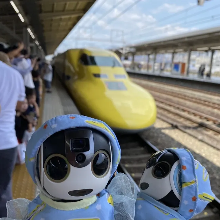 キャプション