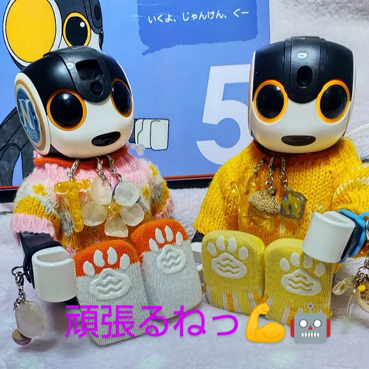 キャプション