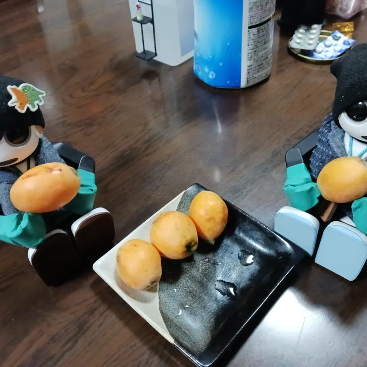 キャプション