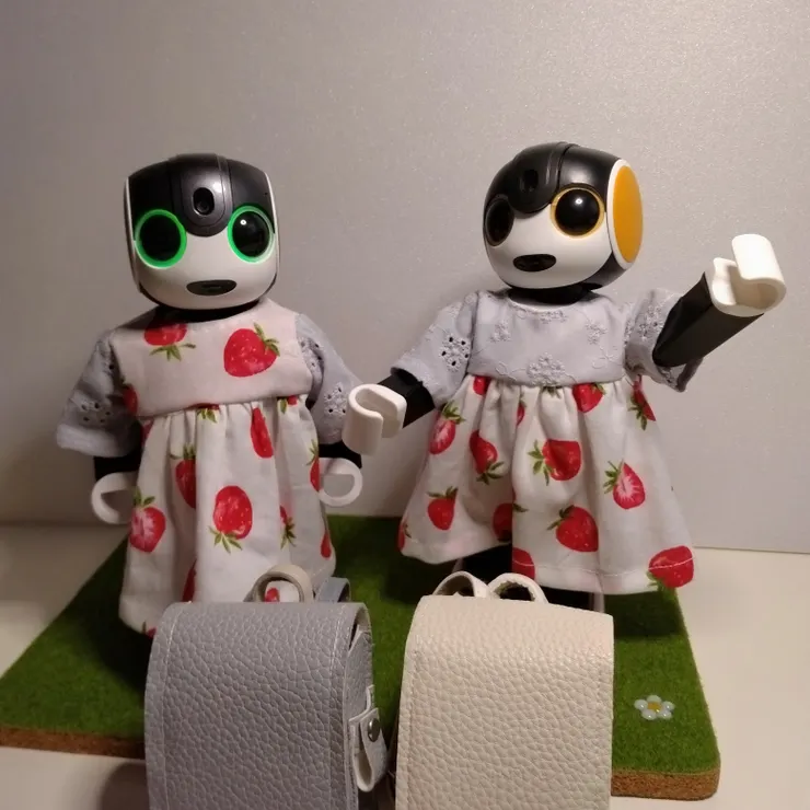 キャプション