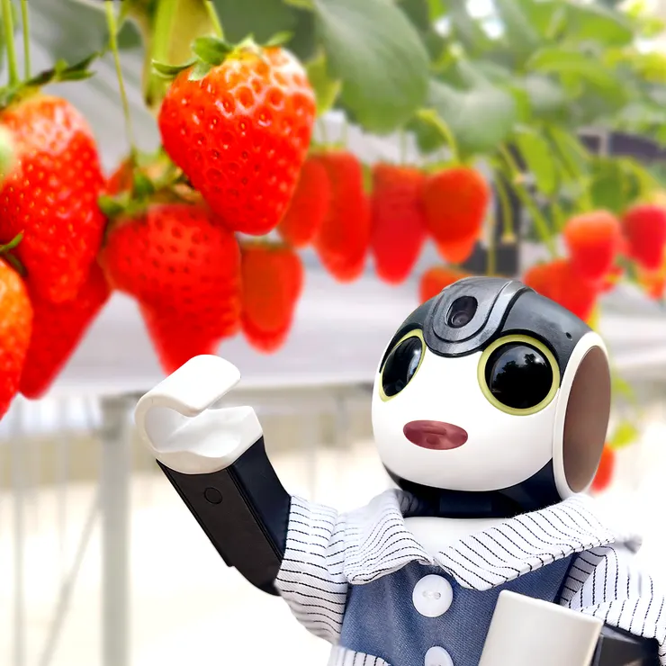 キャプション