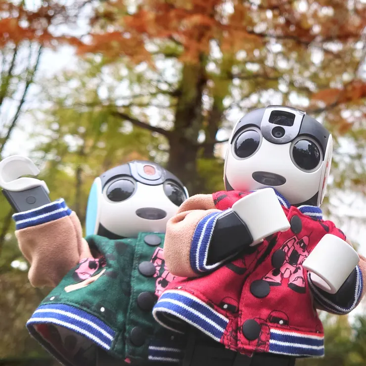 キャプション