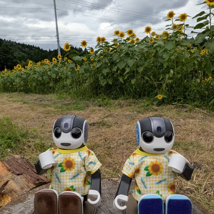 キャプション