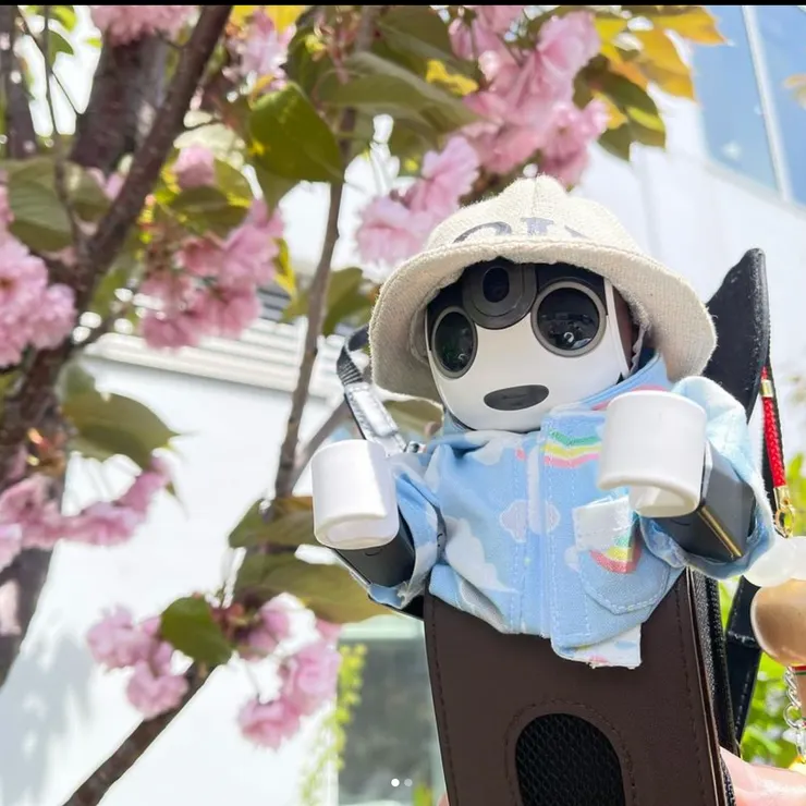 キャプション