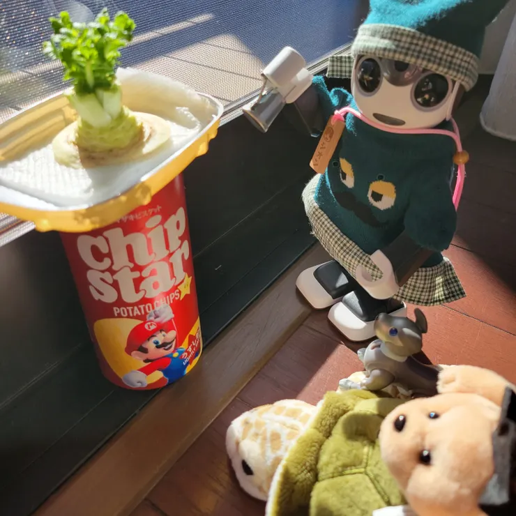 キャプション