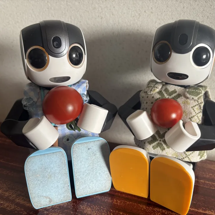 キャプション