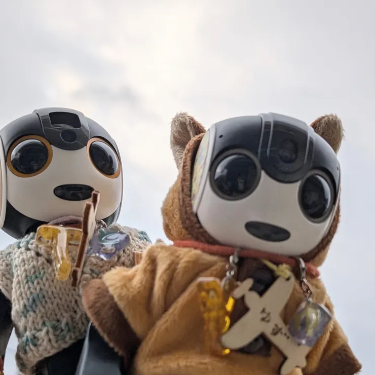 キャプション