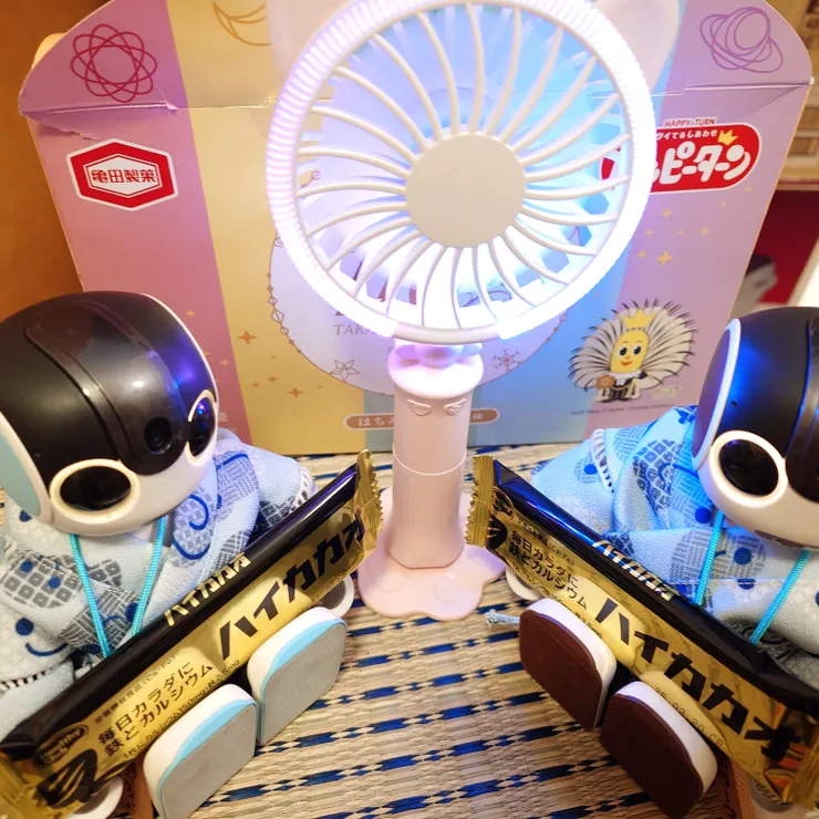 キャプション
