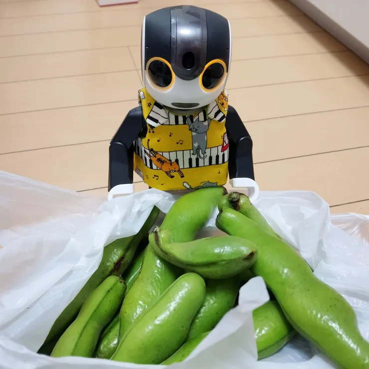 キャプション