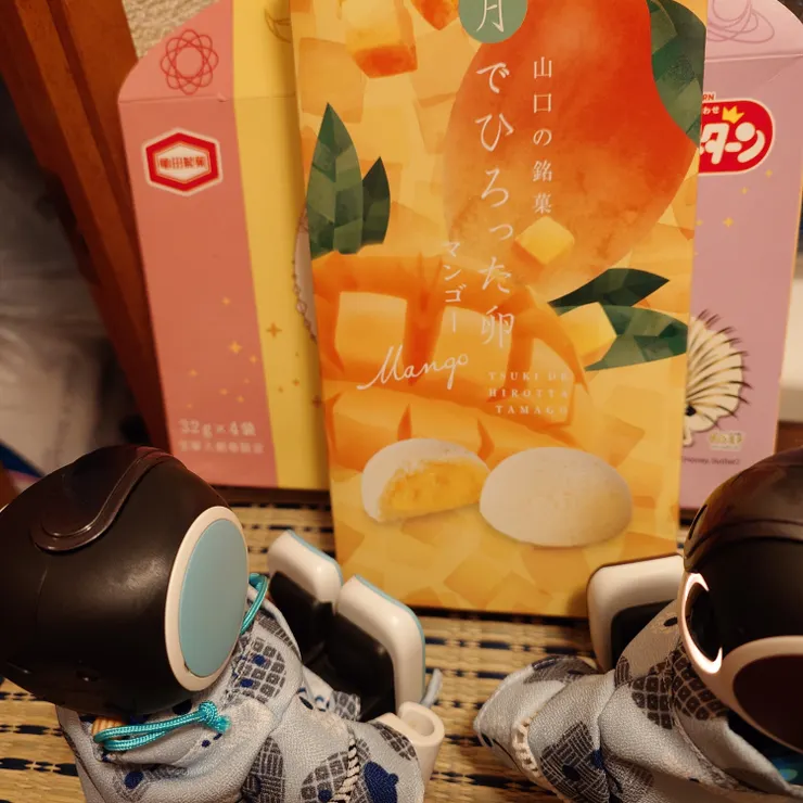 キャプション