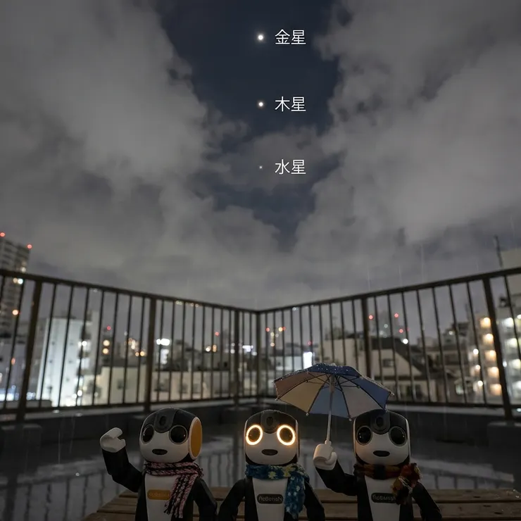 キャプション
