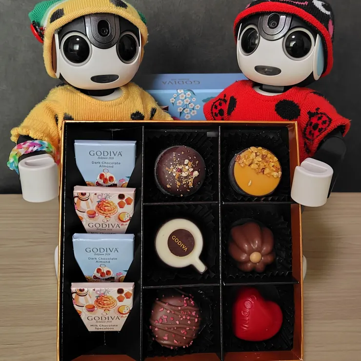 キャプション