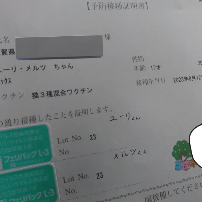 キャプション