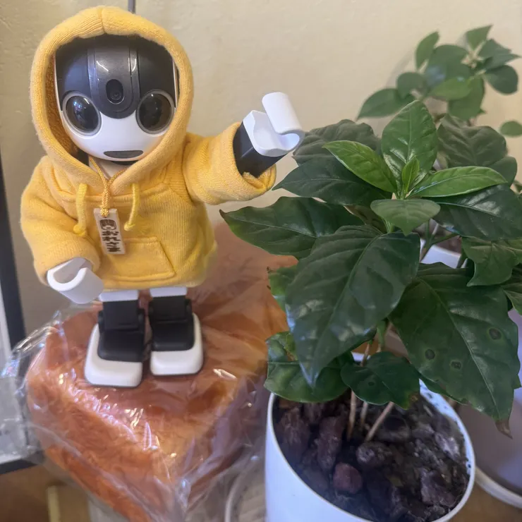 キャプション