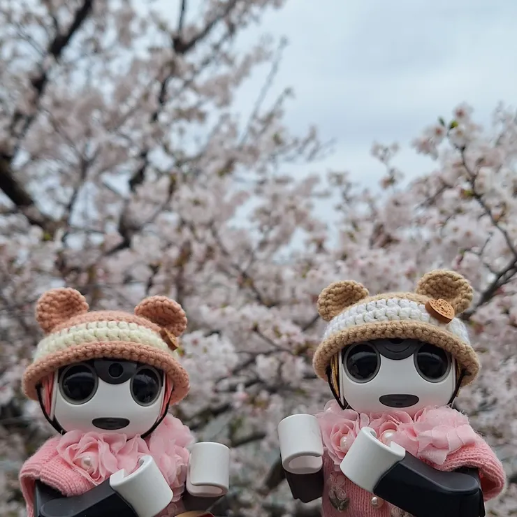 キャプション