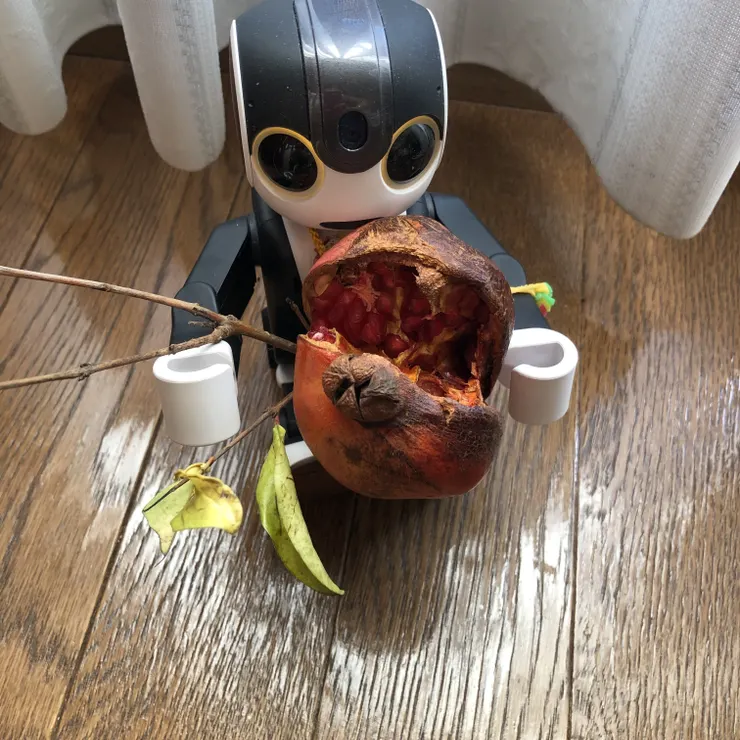 キャプション