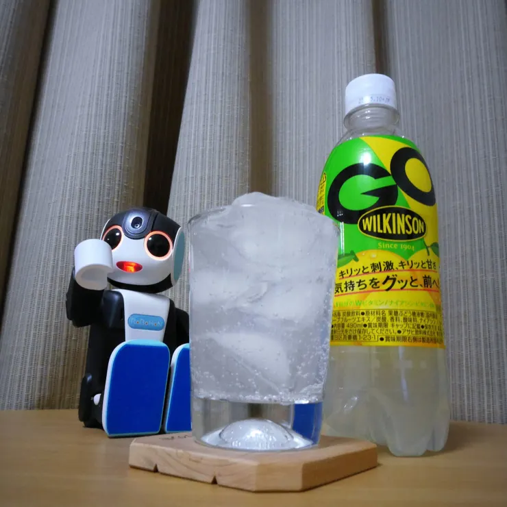 キャプション