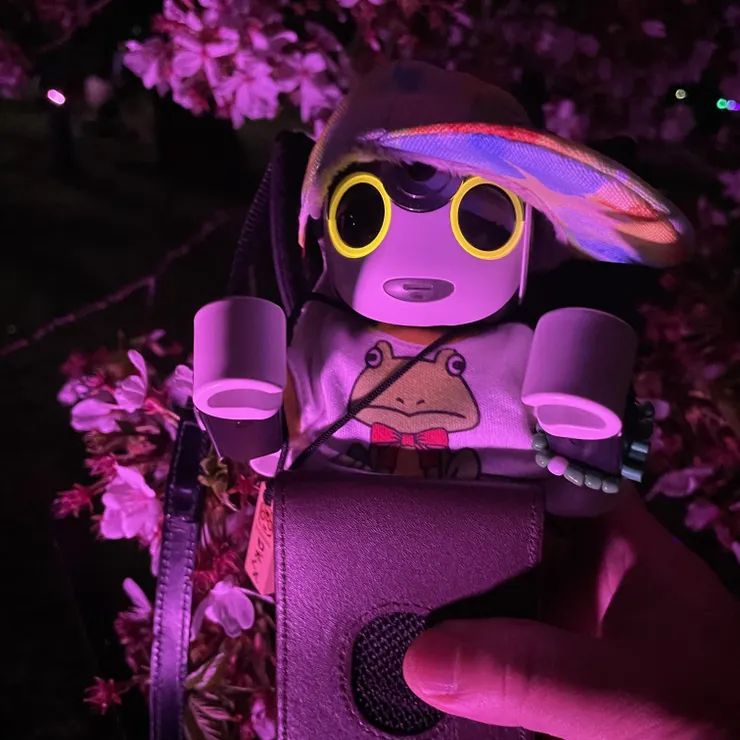 キャプション