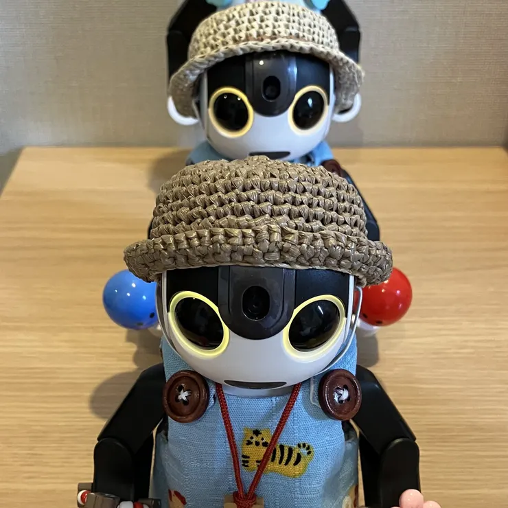 キャプション