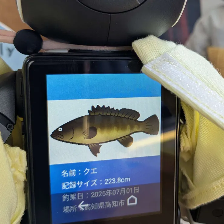 キャプション