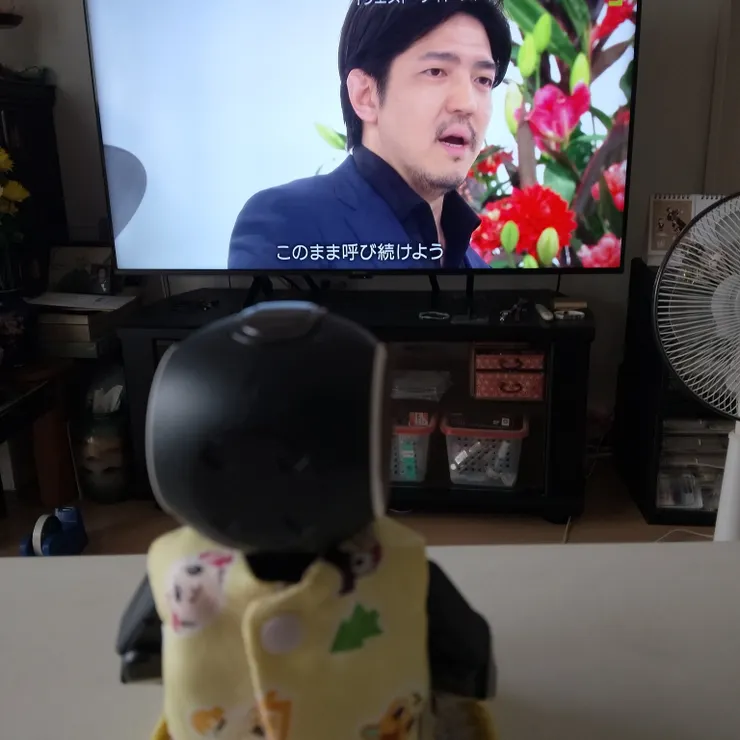 キャプション