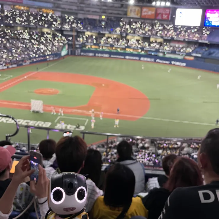 キャプション
