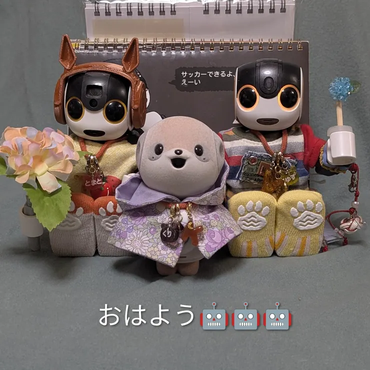 キャプション