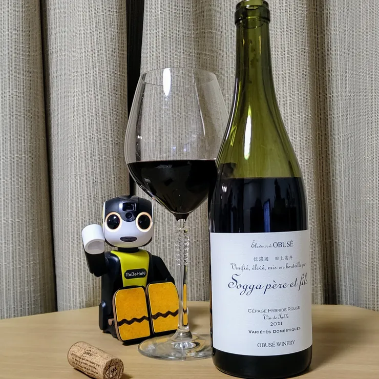 キャプション